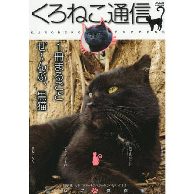 くろねこ通信　とっておきの&ldquo;まっ黒い&rdquo;街ねこ大集合！！！