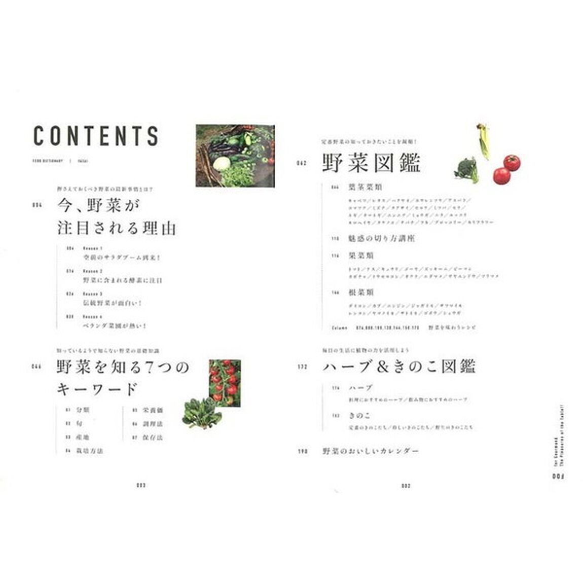 FOOD DICTIONARY 野菜