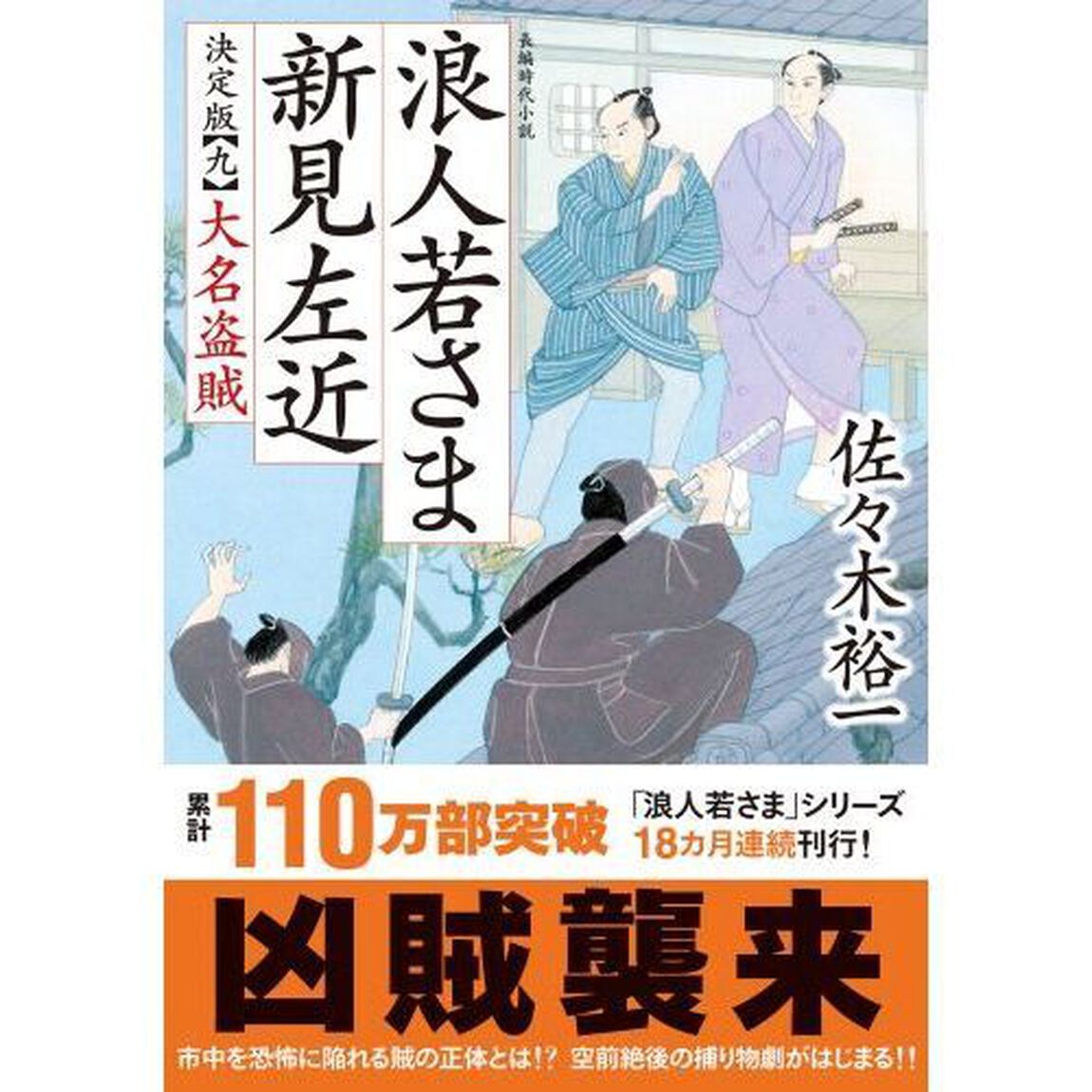 浪人若さま新見左近　９「決定版」「大名盗賊」