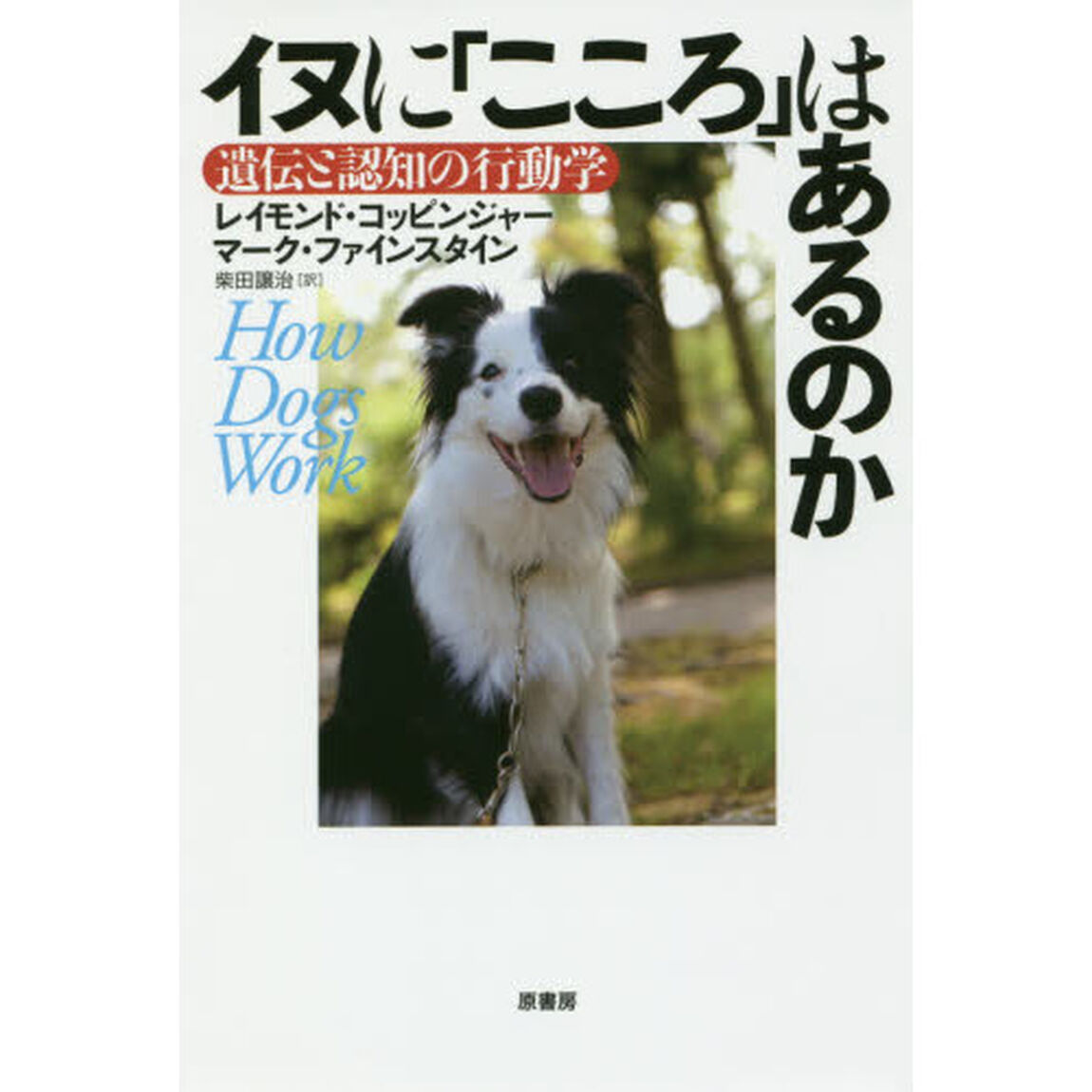 イヌに「こころ」はあるのか　遺伝と認知の行動学