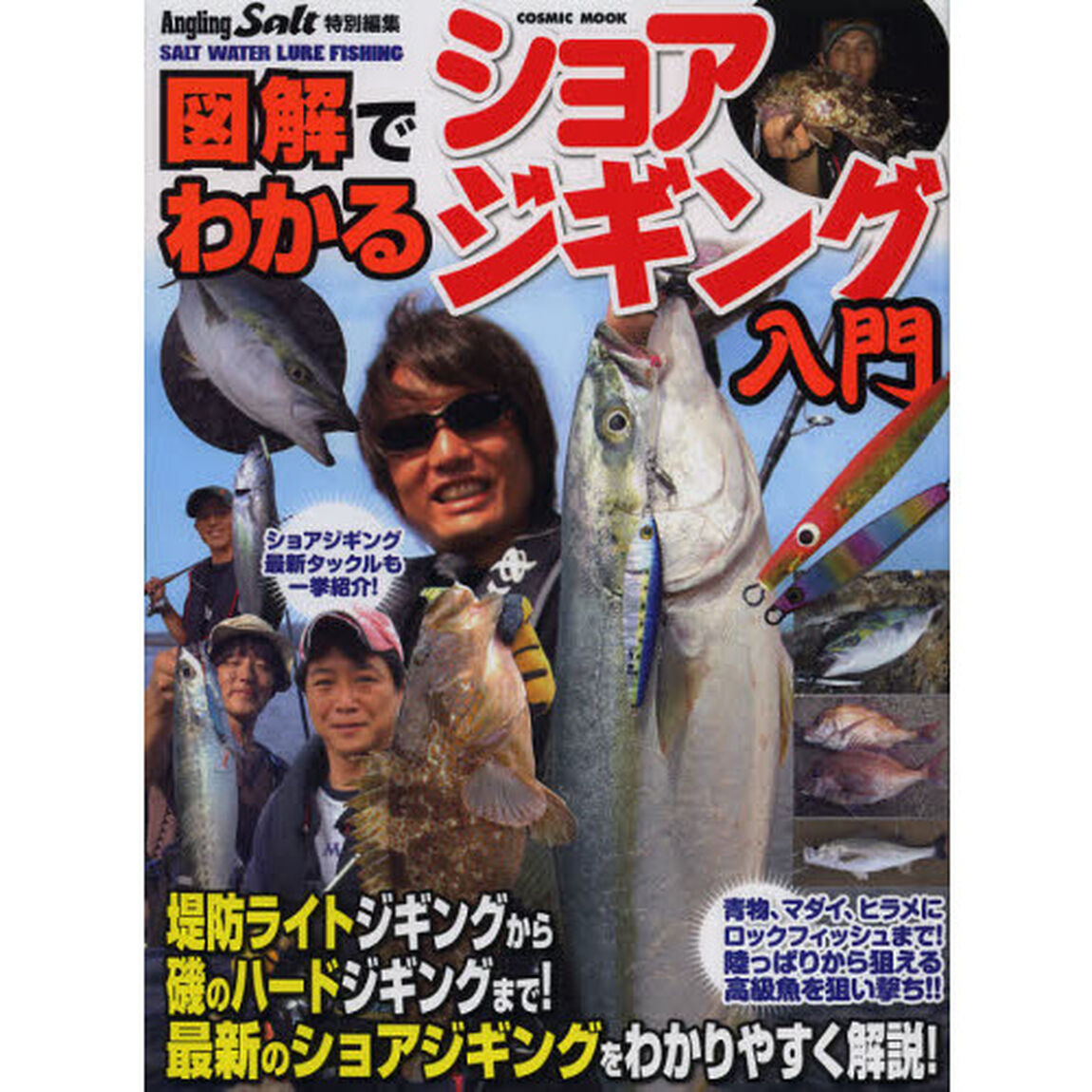 図解でわかるショアジギング入門　青物、マダイにヒラメ、ロックフィッシュまで！陸っぱりから狙える高級魚を狙い撃ち！！