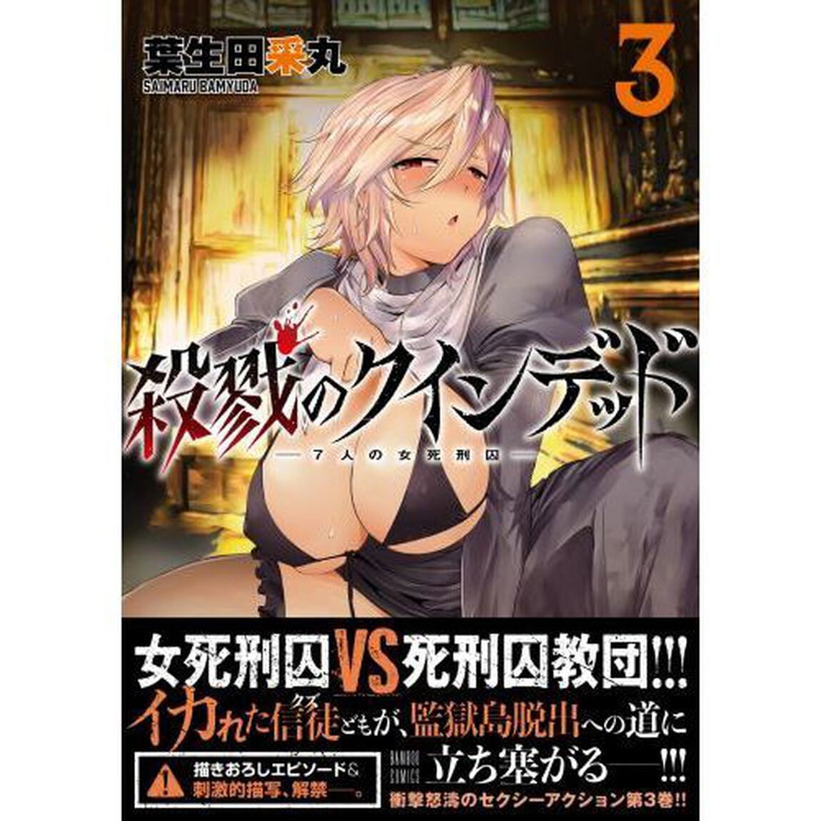 殺戮のクインデッド　　　３