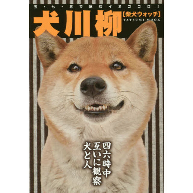 犬川柳　五・七・五で詠むイヌゴコロ！　柴犬ウォッチ「日本人の最高＆永遠の友だち！」