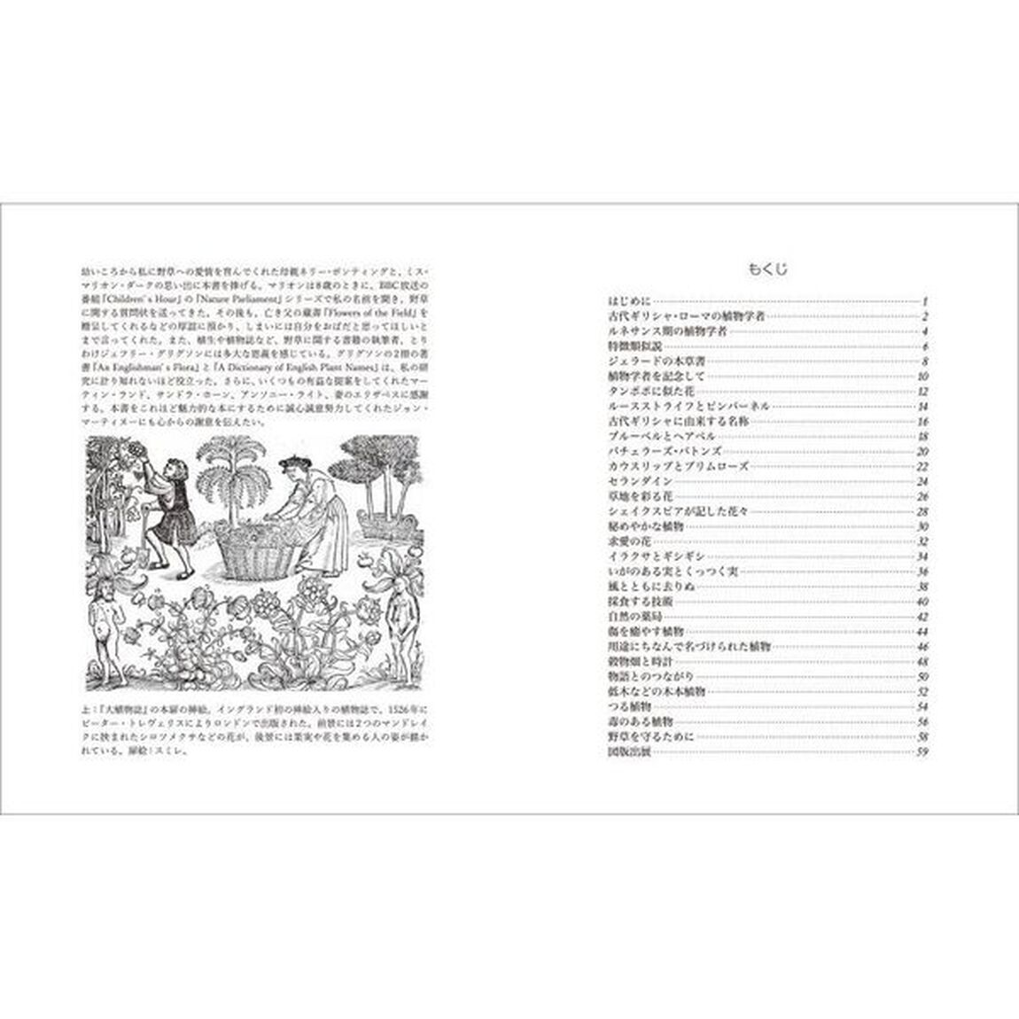 イギリスの美しい野の花　名前の由来と伝承