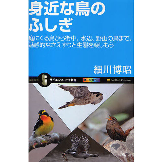 身近な鳥のふしぎ　庭にくる鳥から街中、水辺、野山の鳥まで、魅惑的なさえずりと生態を楽しもう