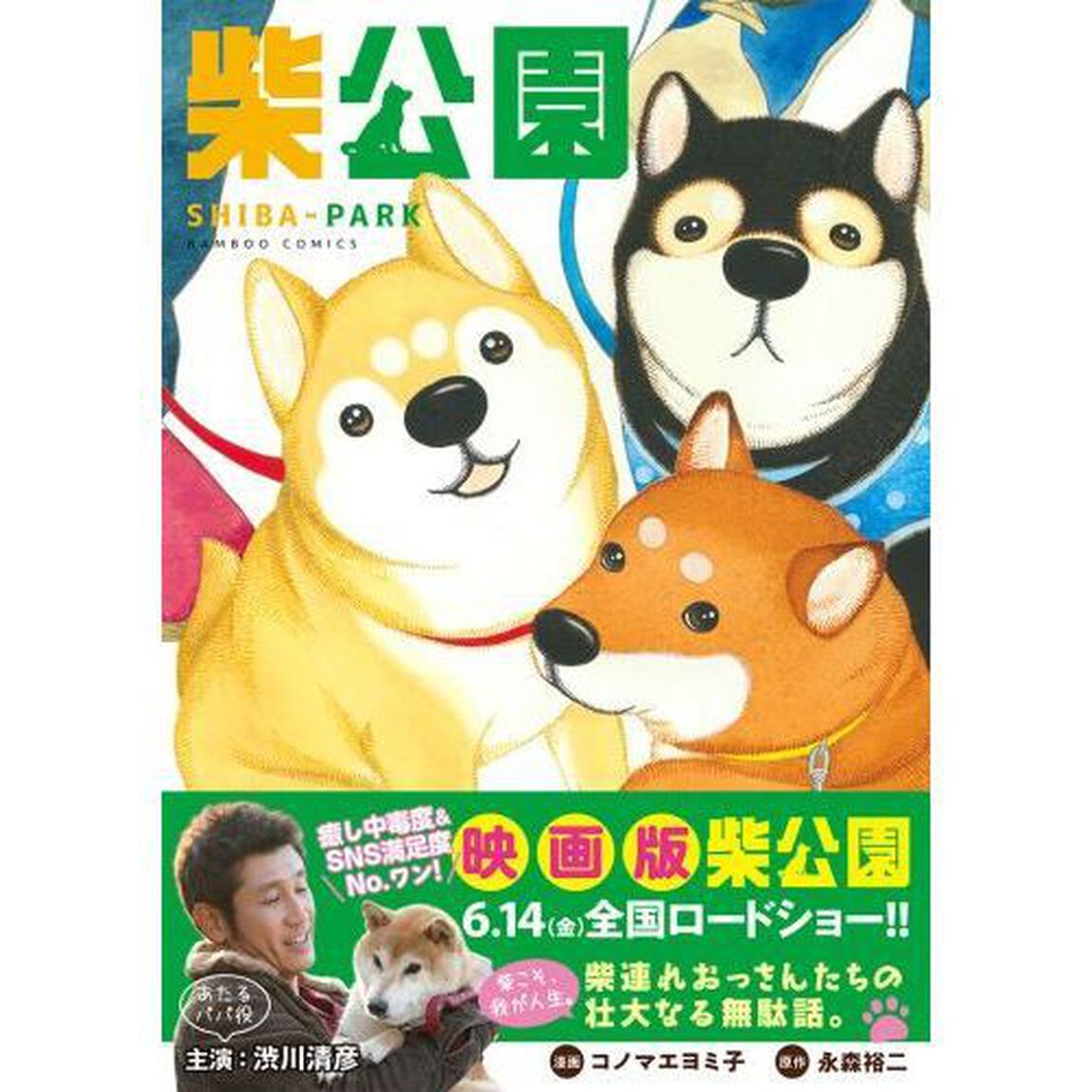 柴公園