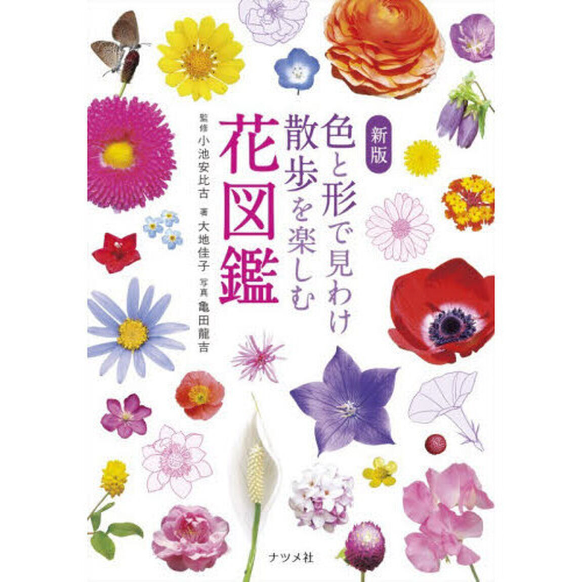 色と形で見わけ散歩を楽しむ花図鑑「新版」