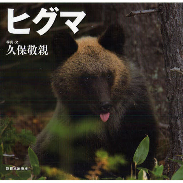 ヒグマ