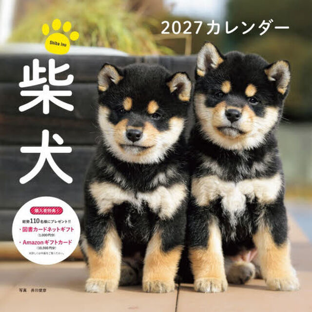 &rsquo;２７　カレンダー柴犬