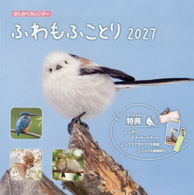 &rsquo;２７　ましかくカレンダーふわもふことり