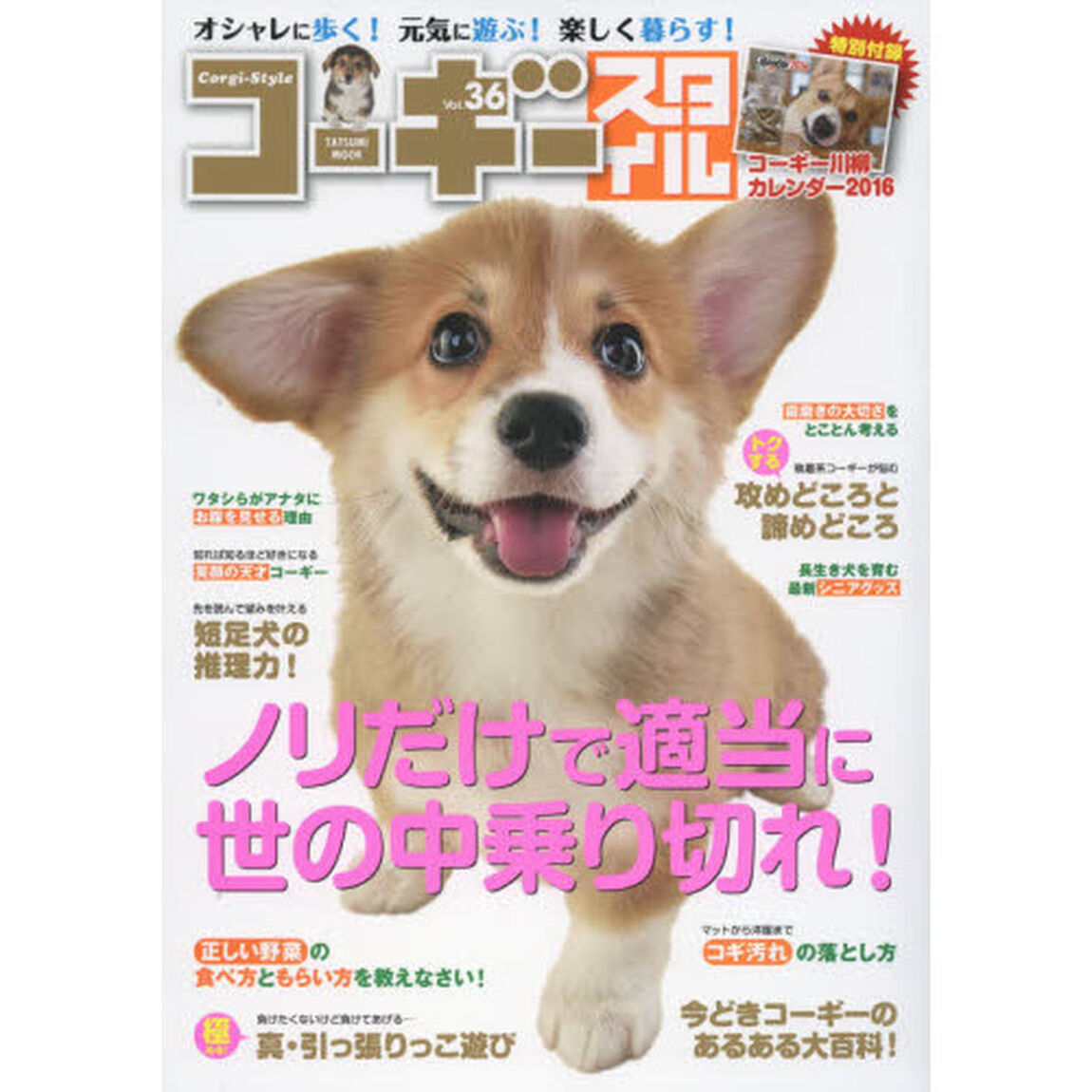 コーギースタイル　オシャレに歩く！元気に遊ぶ！楽しく暮らす！　Ｖｏｌ．３６（２０１６）