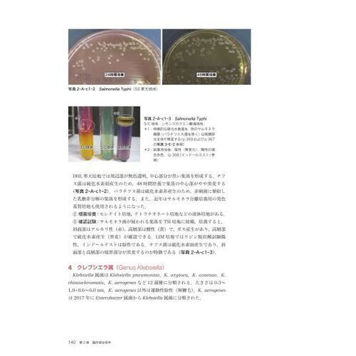 臨床微生物学「第２版」