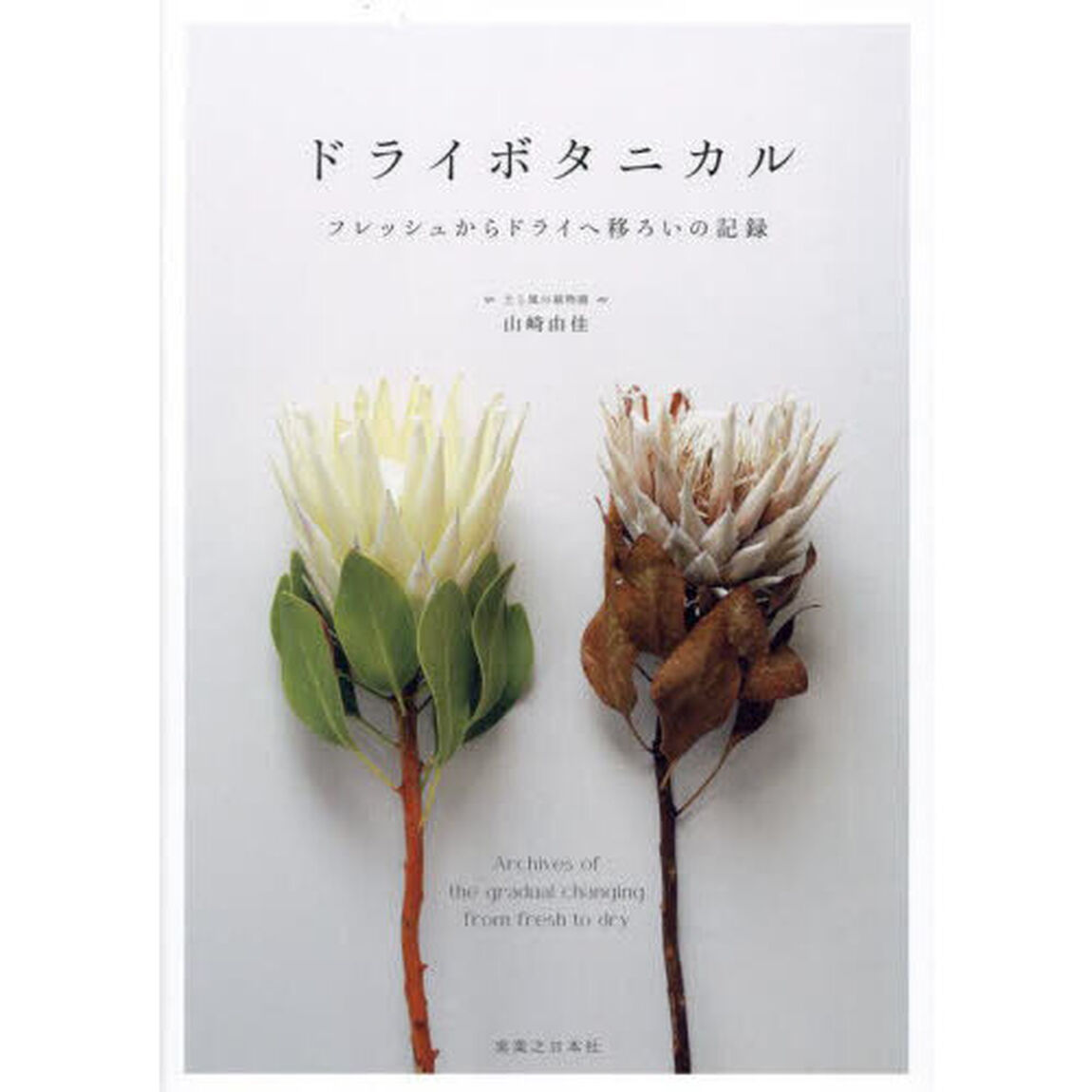 ドライボタニカル　フレッシュからドライへ移ろいの記録