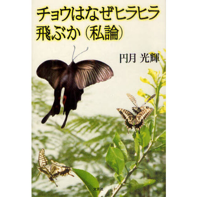 チョウはなぜヒラヒラ飛ぶか〈私論〉