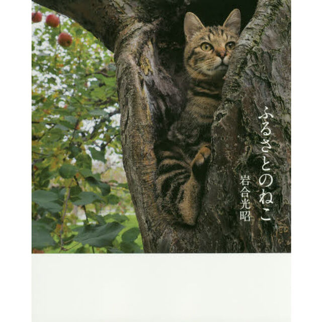 ふるさとのねこ