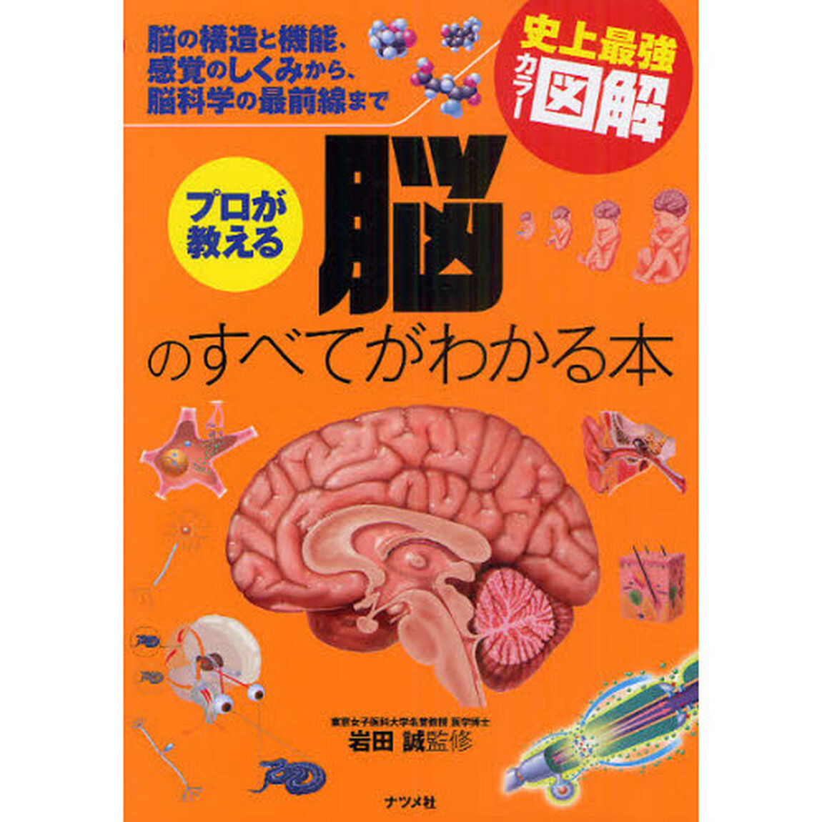 プロが教える脳のすべてがわかる本　脳の構造と機能、感覚のしくみから、脳科学の最前線まで