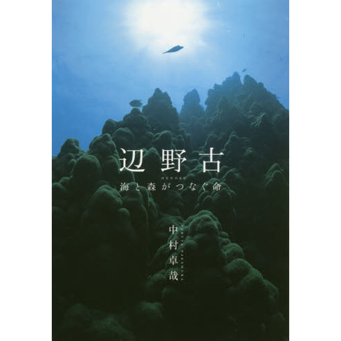 辺野古　海と森がつなぐ命