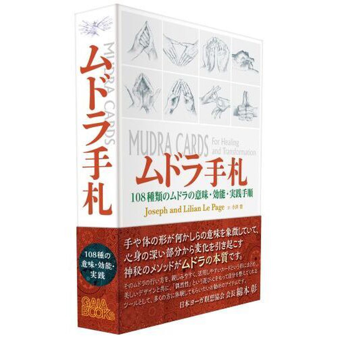 ムドラ手札