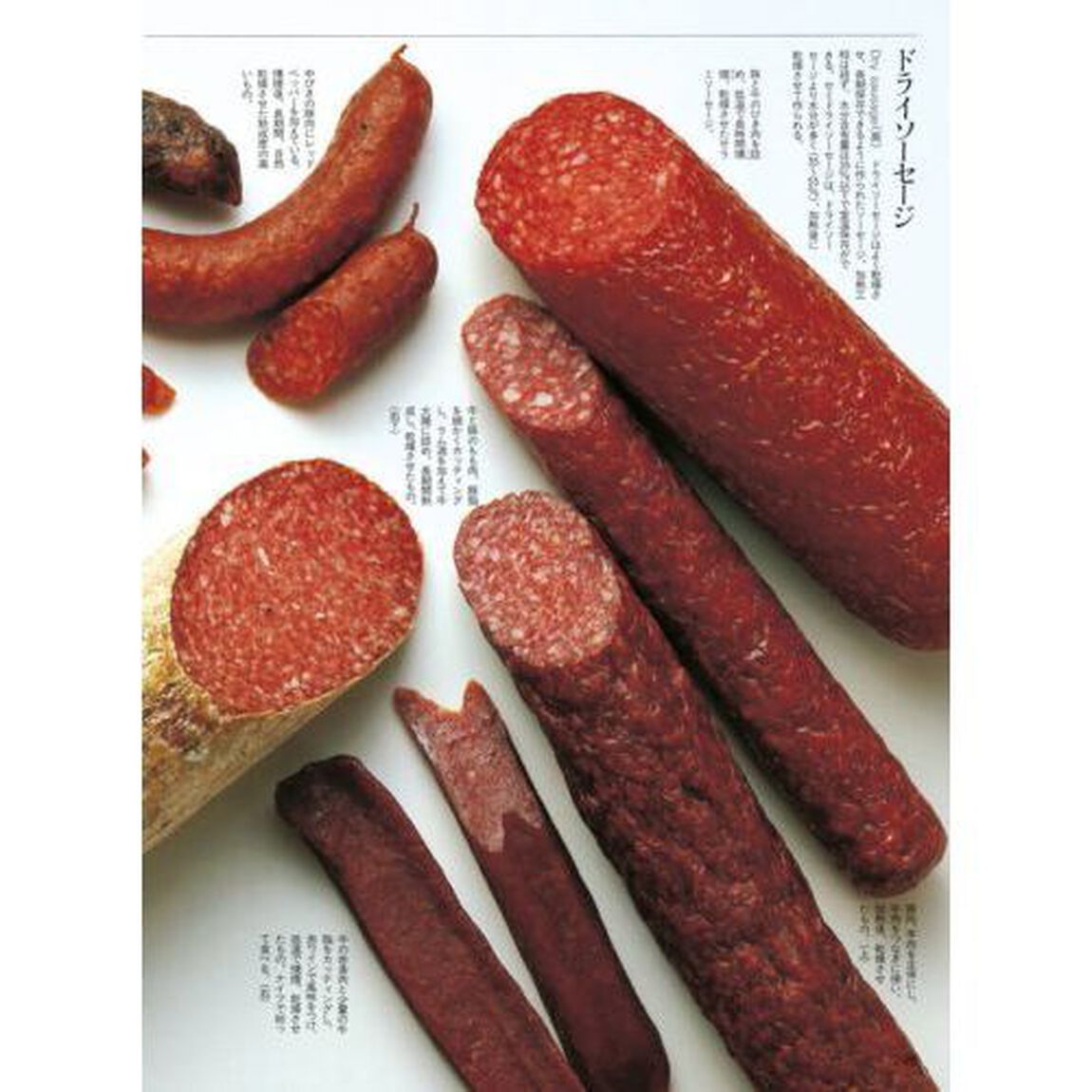 完全改訂版 食材大図鑑 Marche「完全改訂版」