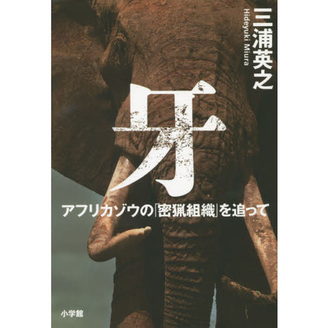 牙　アフリカゾウの「密猟組織」を追って