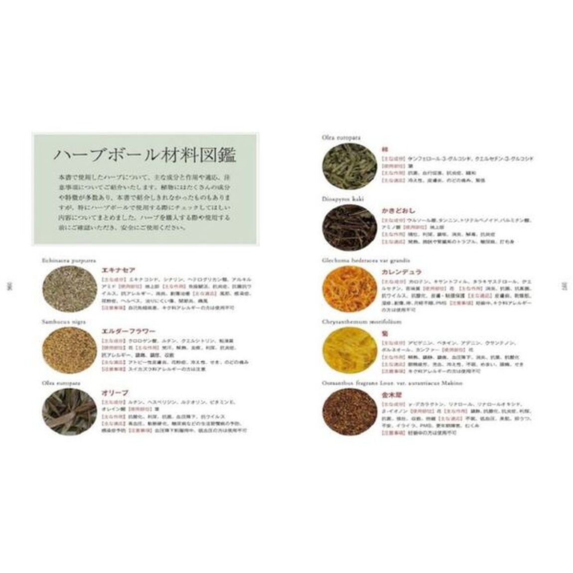 心と体をととのえるハーブボール