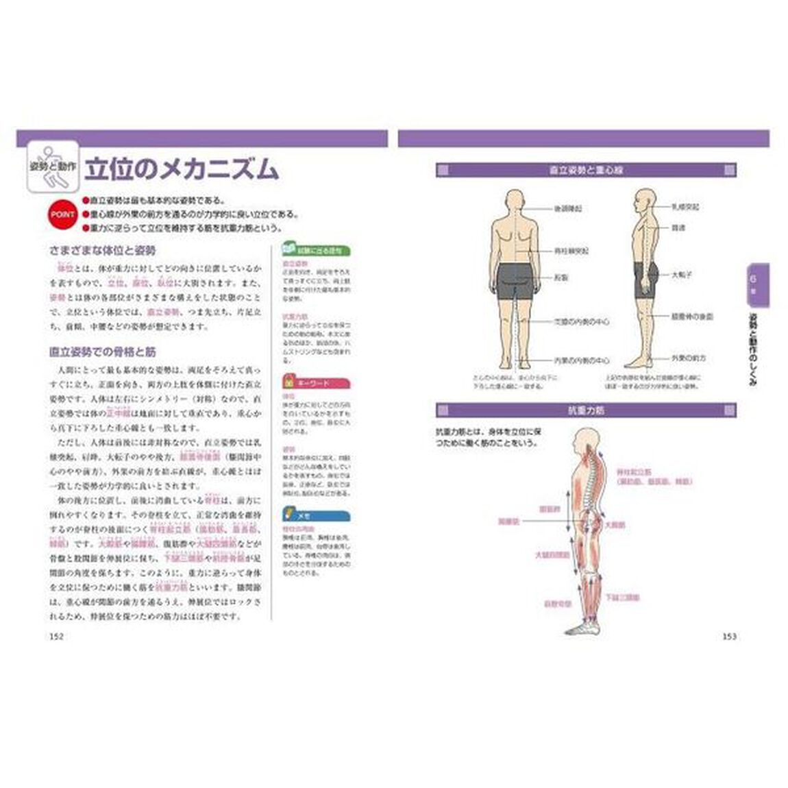 筋肉・関節・骨の動きとしくみ　オールカラー「新版」