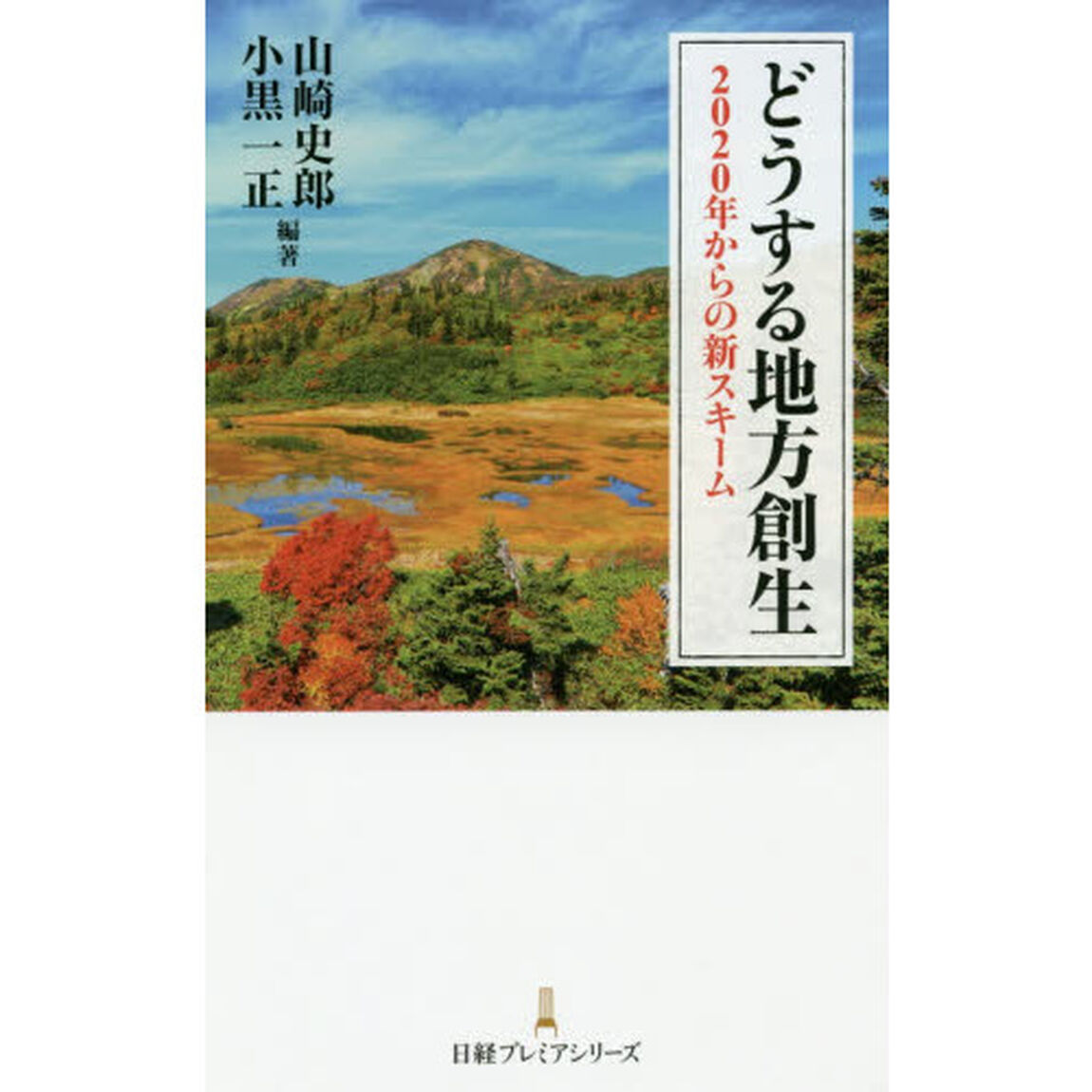 どうする地方創生 2020年からの新スキーム (日経プレミアシリーズ)