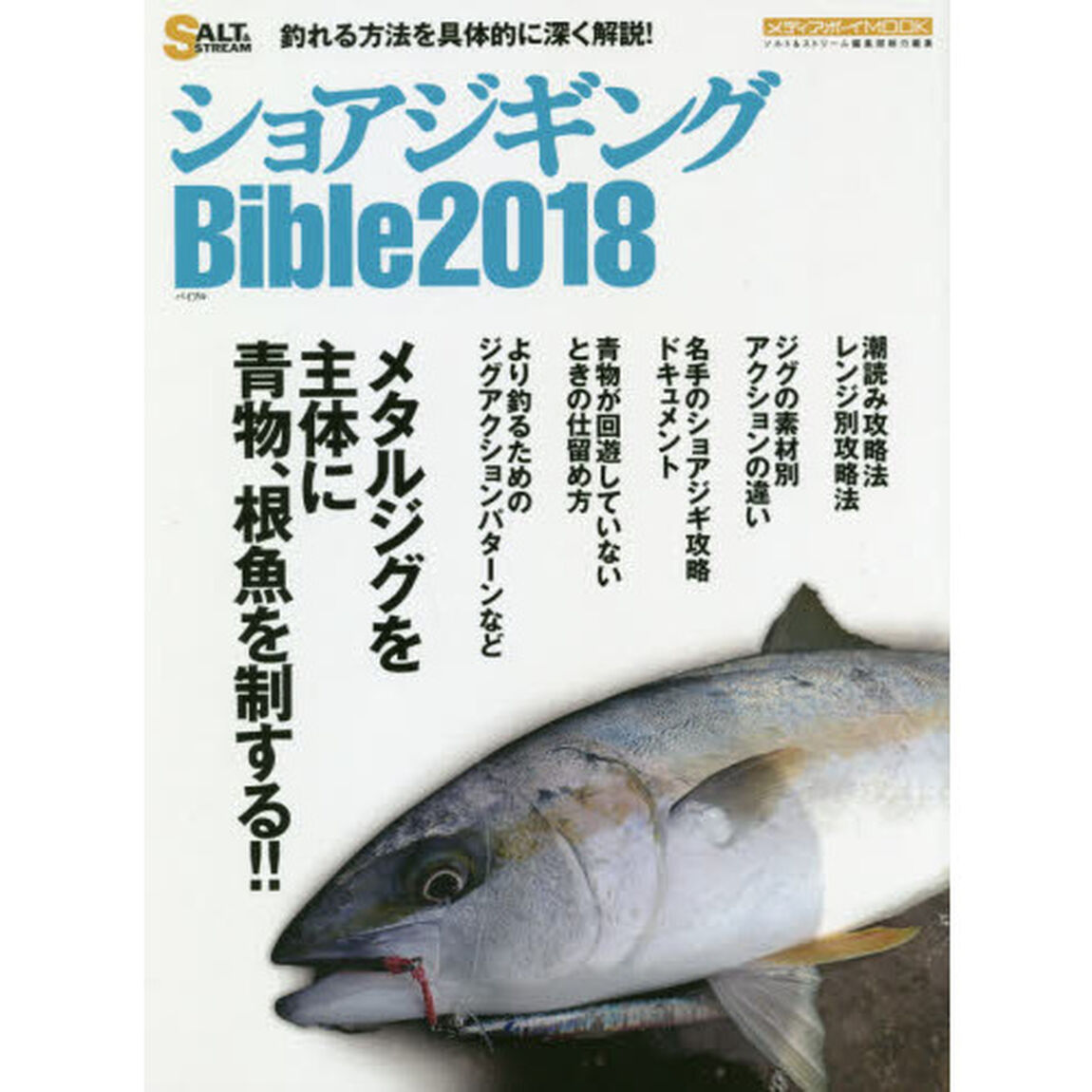 ショアジギングＢｉｂｌｅ　２０１８「メタルジグを主体に青物、根魚を制する！！」