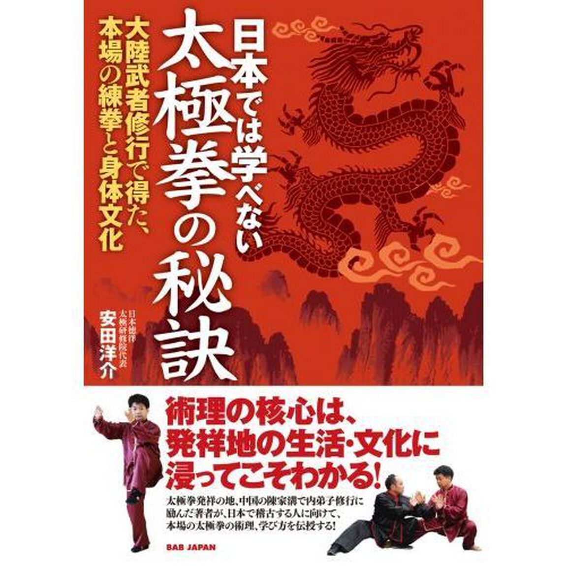 日本では学べない太極拳の秘訣　大陸武者修行で得た、本場の練拳と身体文化