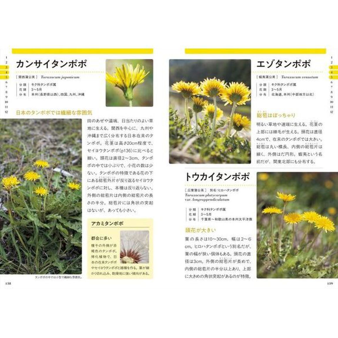 色で見わけ五感で楽しむ野草・雑草図鑑「新版」