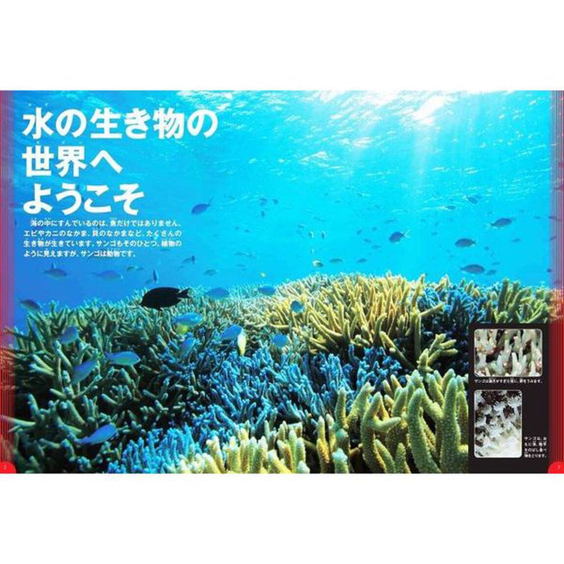 学研の図鑑LIVE　水の生き物