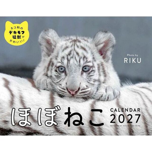 2027ほぼねこカレンダー