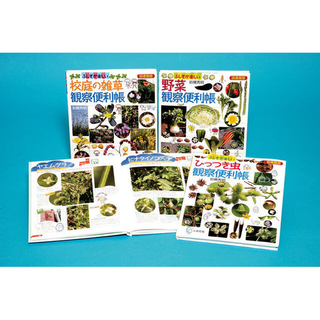 ふしぎが楽しい自然観察便利帳　図書館版　３巻セット