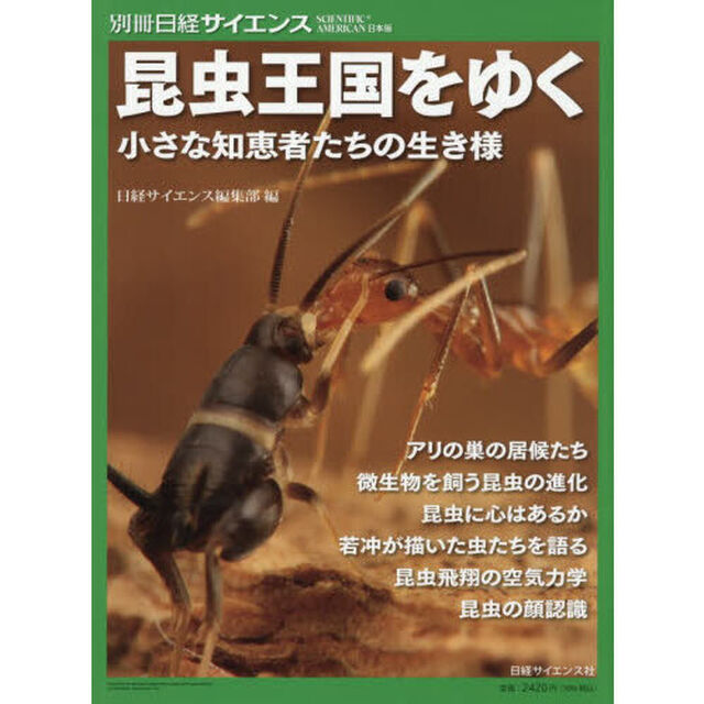 昆虫王国をゆく　小さな知恵者たちの生き様