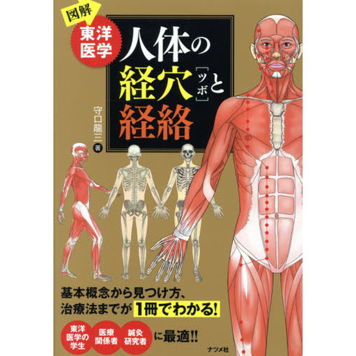 図解東洋医学人体の経穴〈ツボ〉と経絡