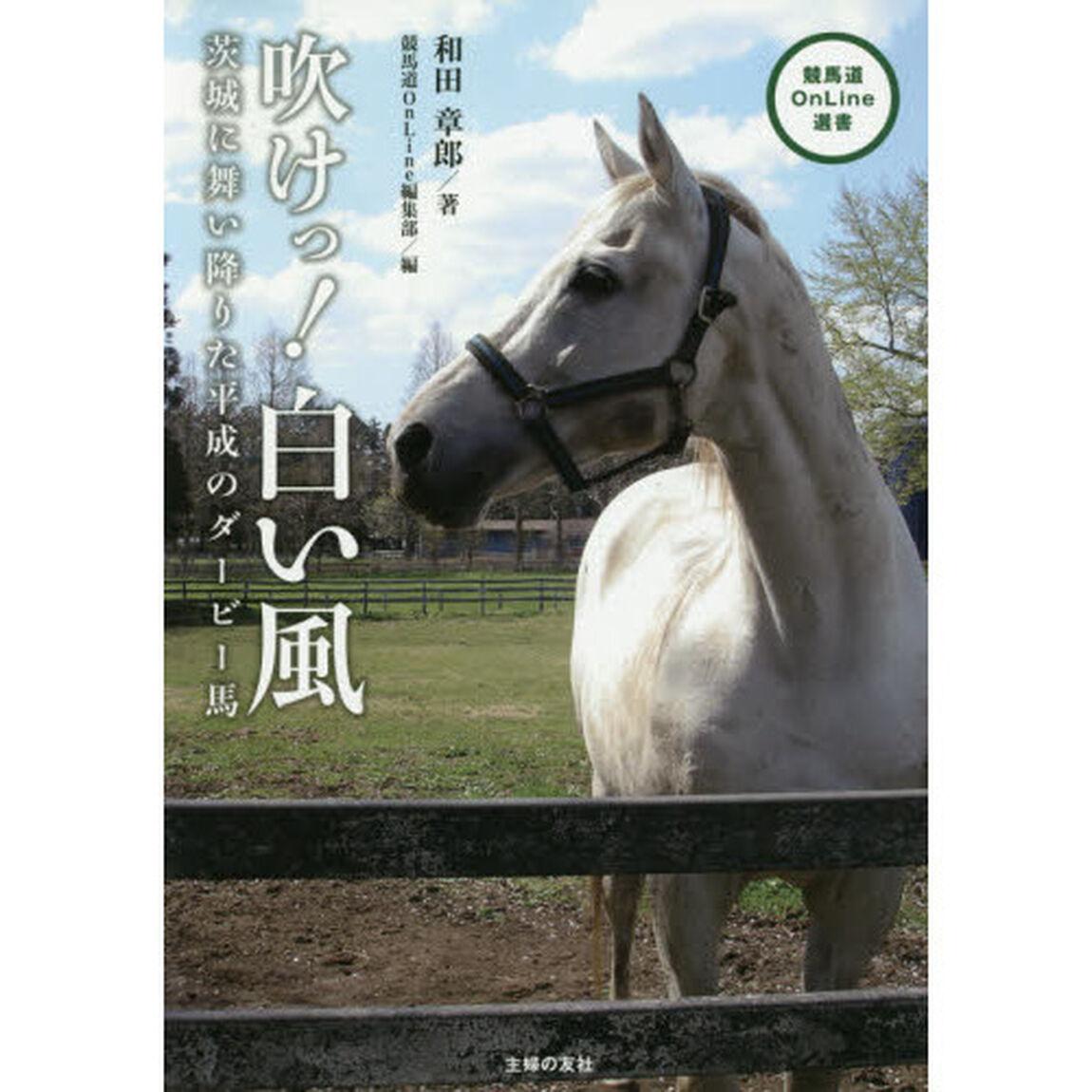 吹けっ！白い風　茨城に舞い降りた平成のダービー馬