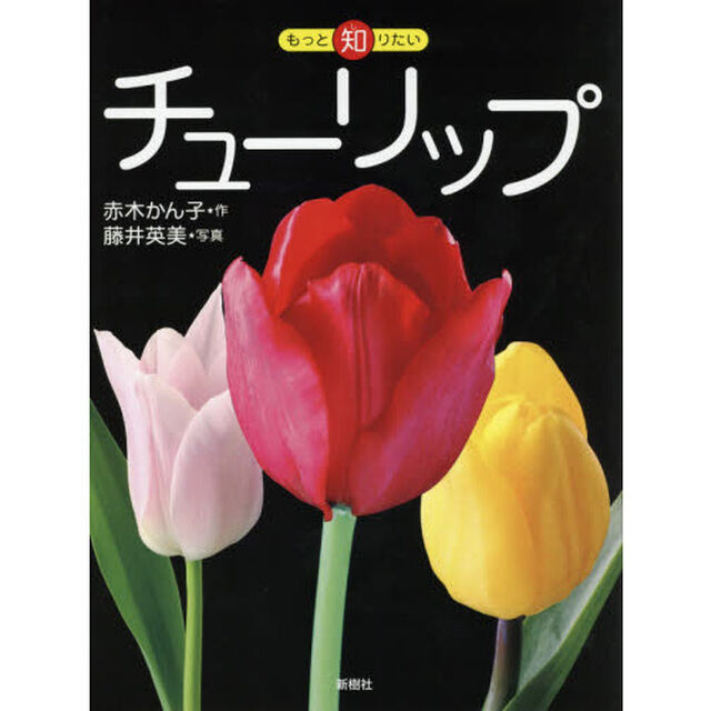 チューリップ