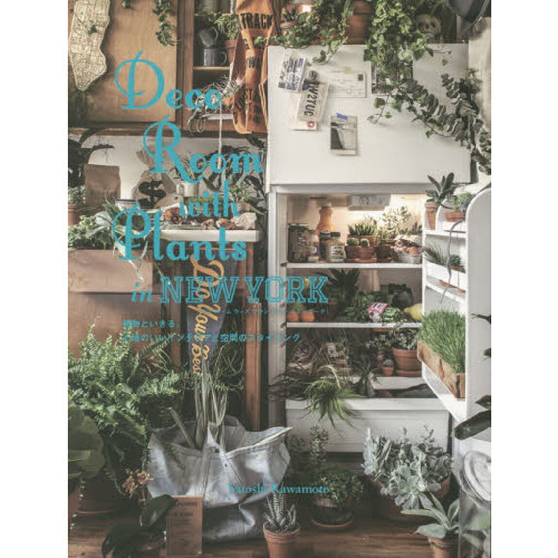 Ｄｅｃｏ　Ｒｏｏｍ　ｗｉｔｈ　Ｐｌａｎｔｓ　ｉｎ　ＮＥＷＹＯＲＫ　植物といきる。心地のいいインテリアと空間のスタイリング
