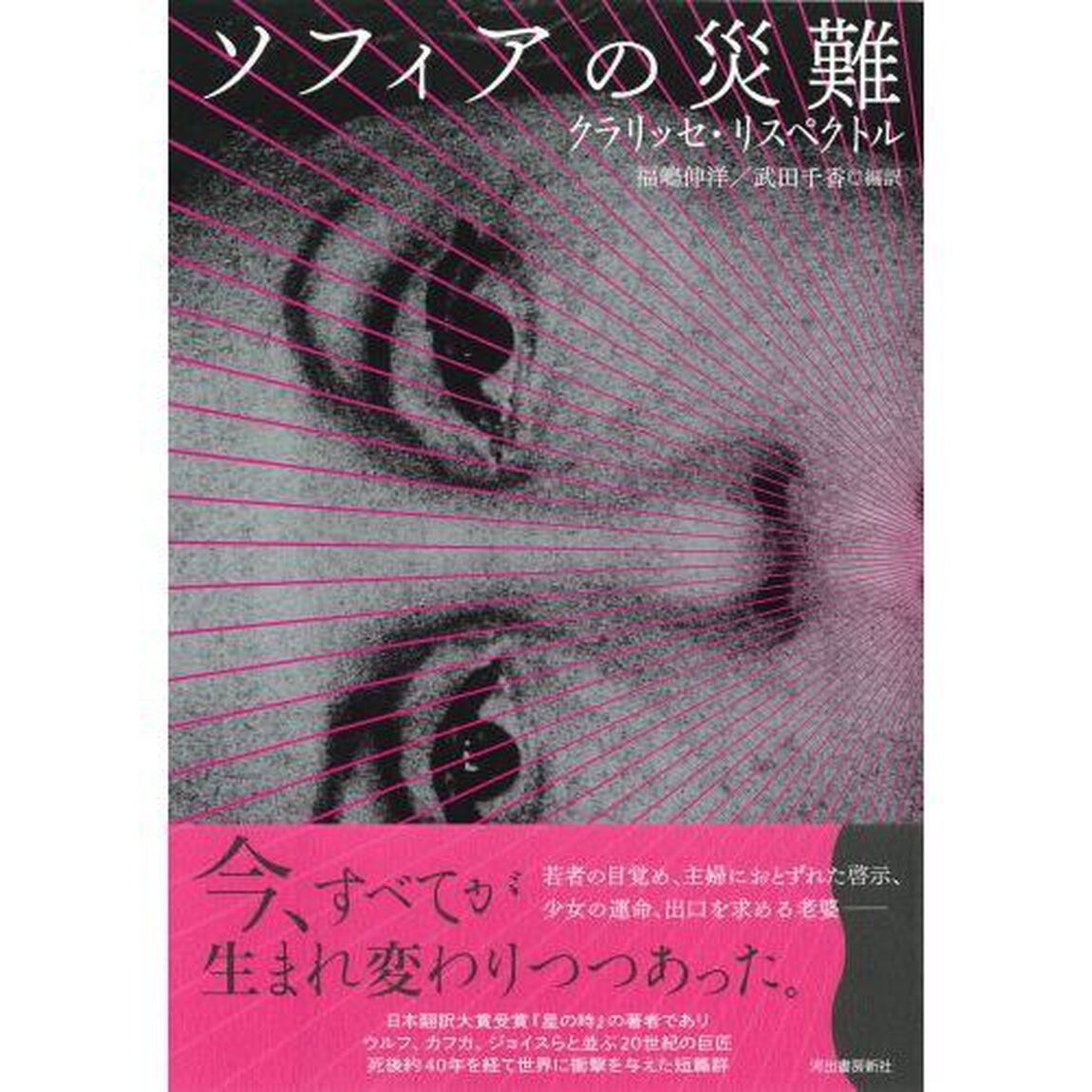 ソフィアの災難