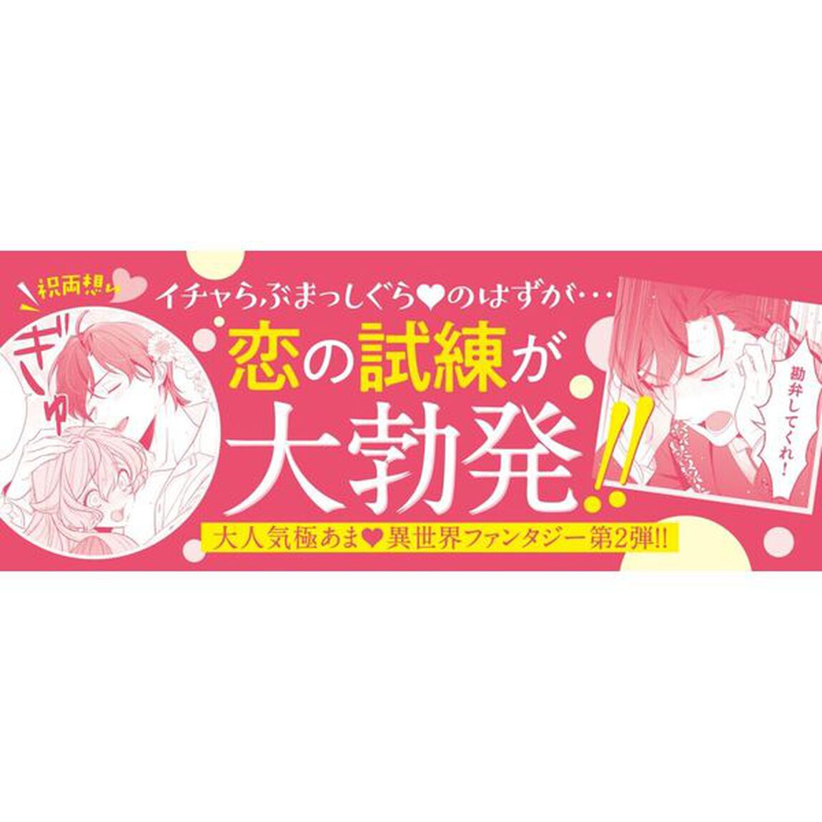 大切を押し付けられた聖女　２