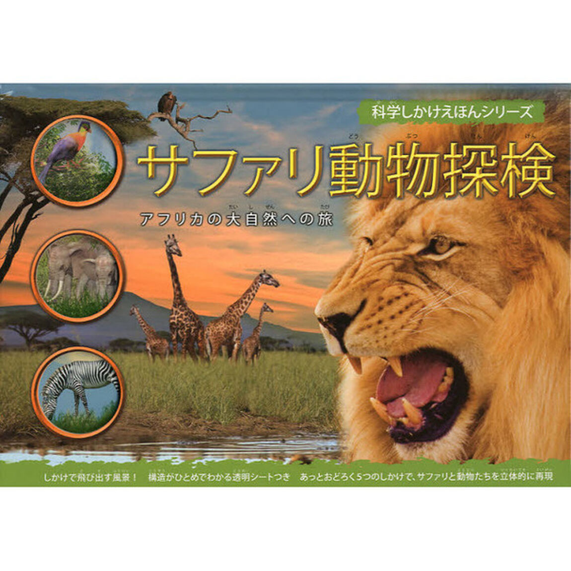 サファリ動物探検 (科学しかけえほんシリーズ)