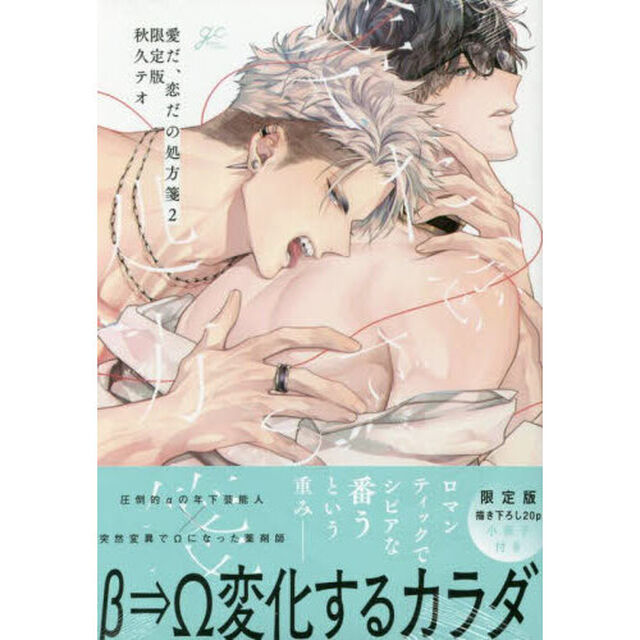 限定版　愛だ、恋だの処方箋　２