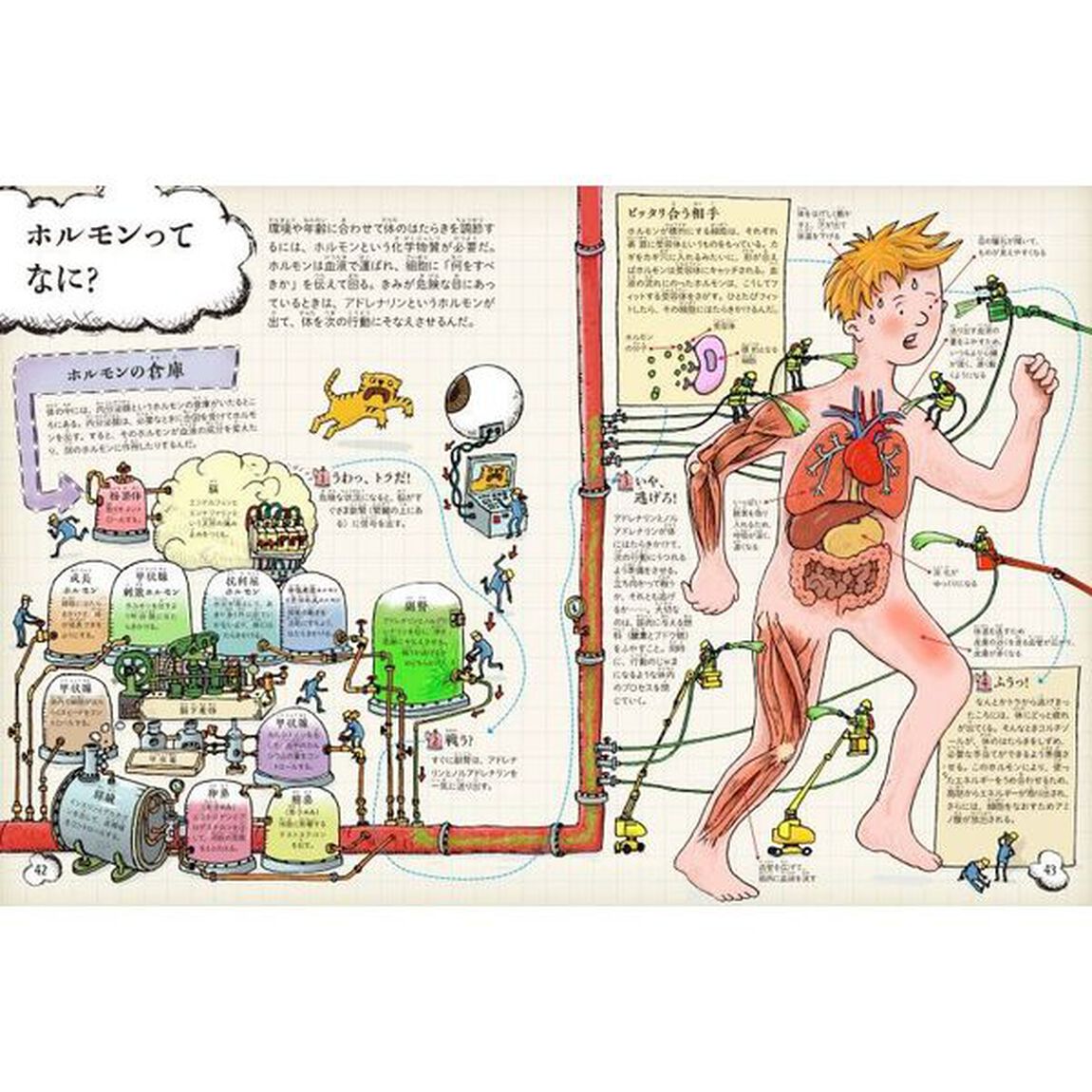 知っておきたい！人体のしくみ