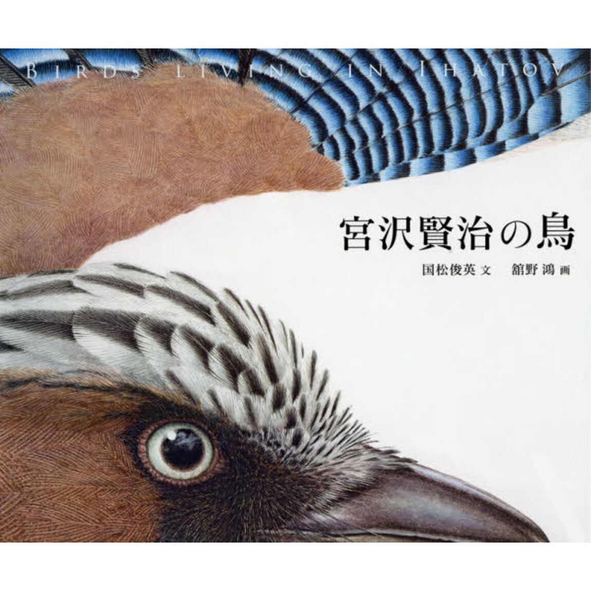 宮沢賢治の鳥　ＢＩＲＤＳ　ＬＩＶＩＮＧ　ＩＮ　ＩＨＡＴＯＶ