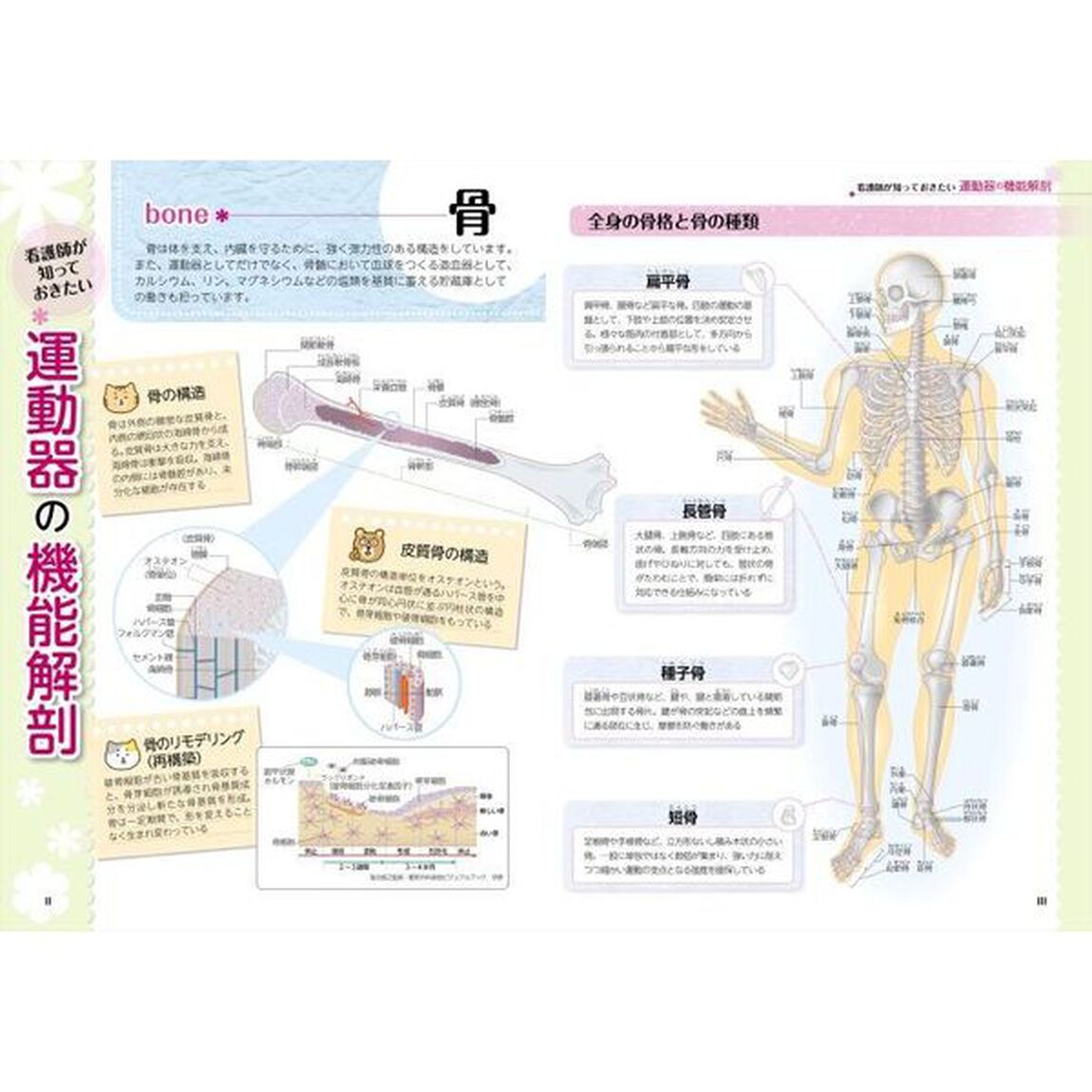 これならわかる！整形外科の看護ケア　疾患のメカニズムから、症状、治療法まで「第２版」