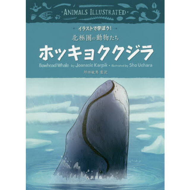 ホッキョククジラ