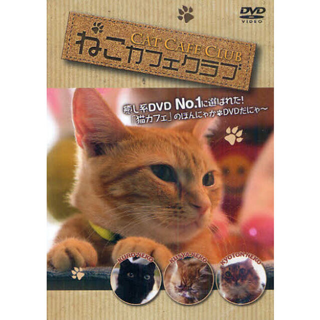 ＤＶＤ　ねこカフェクラブ