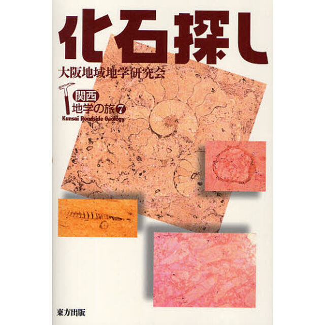 化石探し