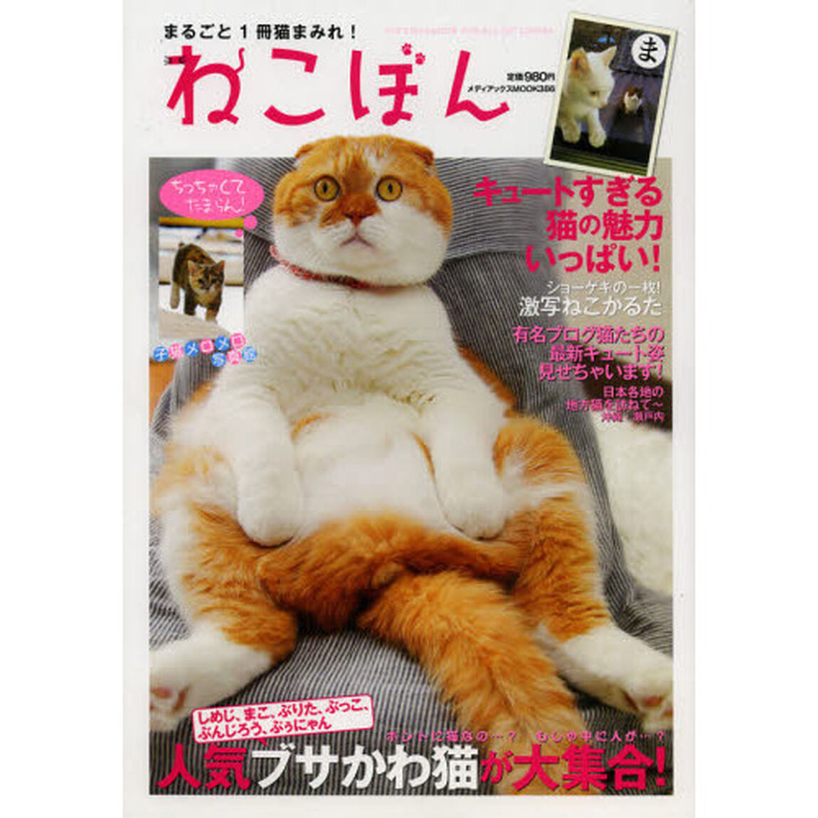 ねこぼん　まるごと１冊猫まみれ！　人気ブサかわ猫が大集合！