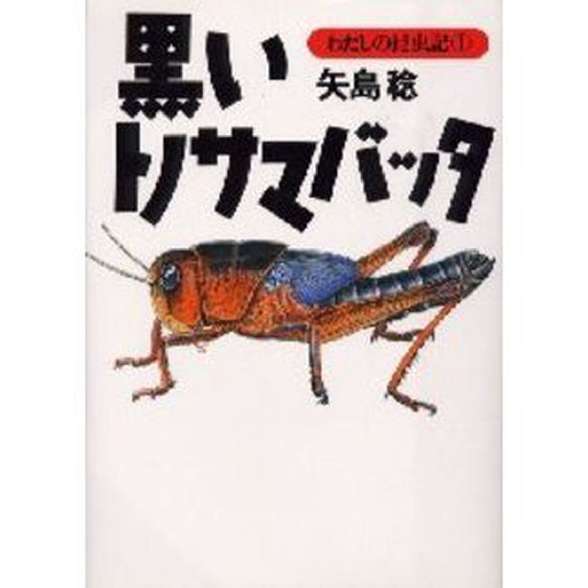 黒いトノサマバッタ